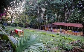 Africana Yard
